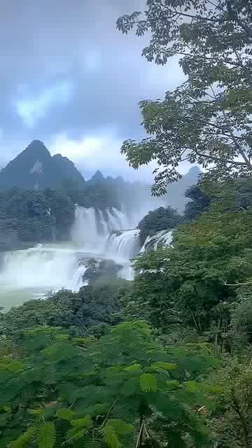 纳赫特韦拍摄的照片获得国际广泛关注，挽救了上百万人的生命